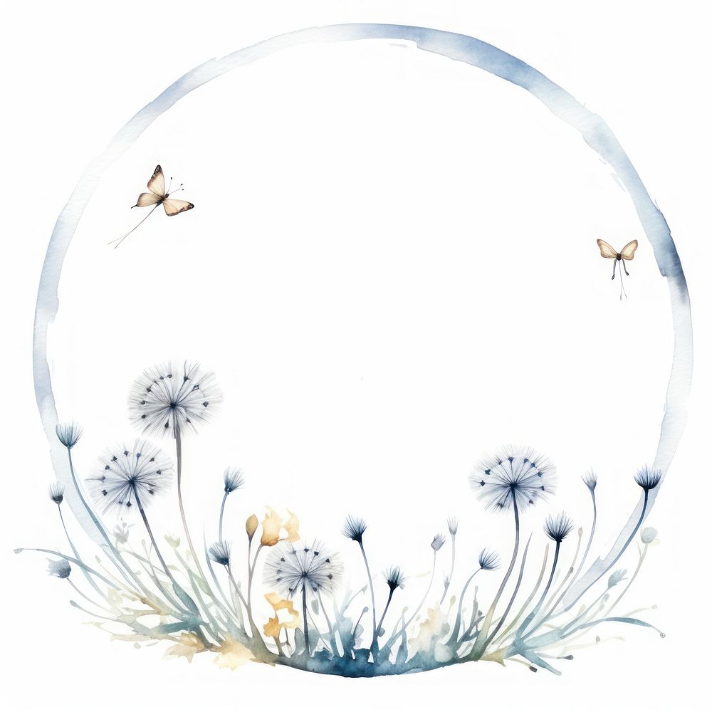 Dandelion and butterfly cercle border flower plant white background.