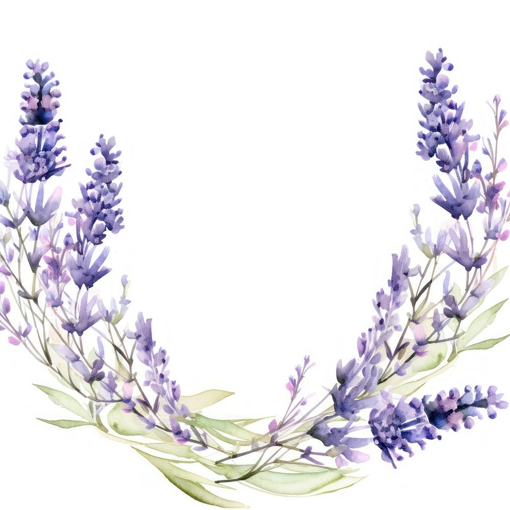 Lavender border blossom flower wreath.