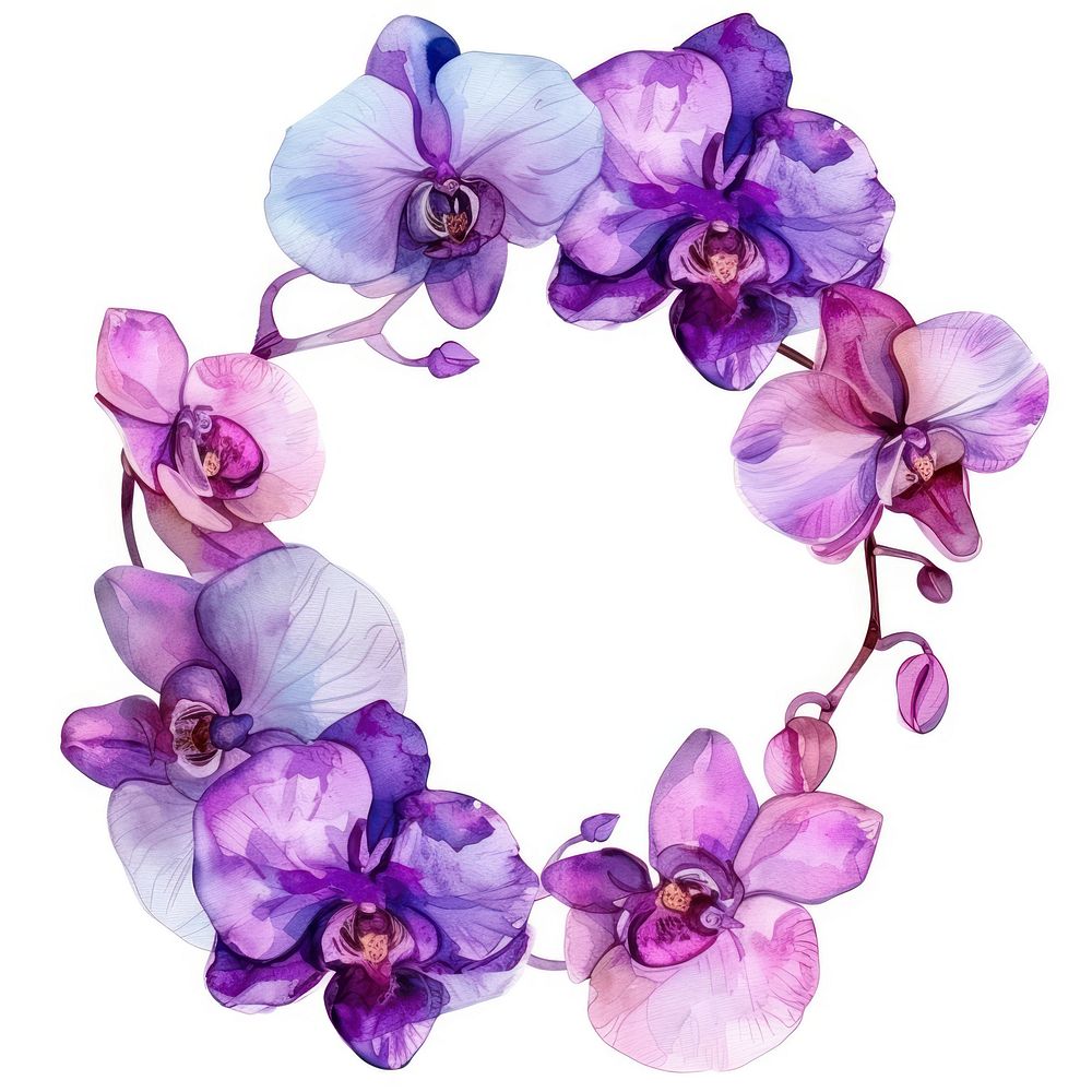 Orchid cercle border flower wreath purple.
