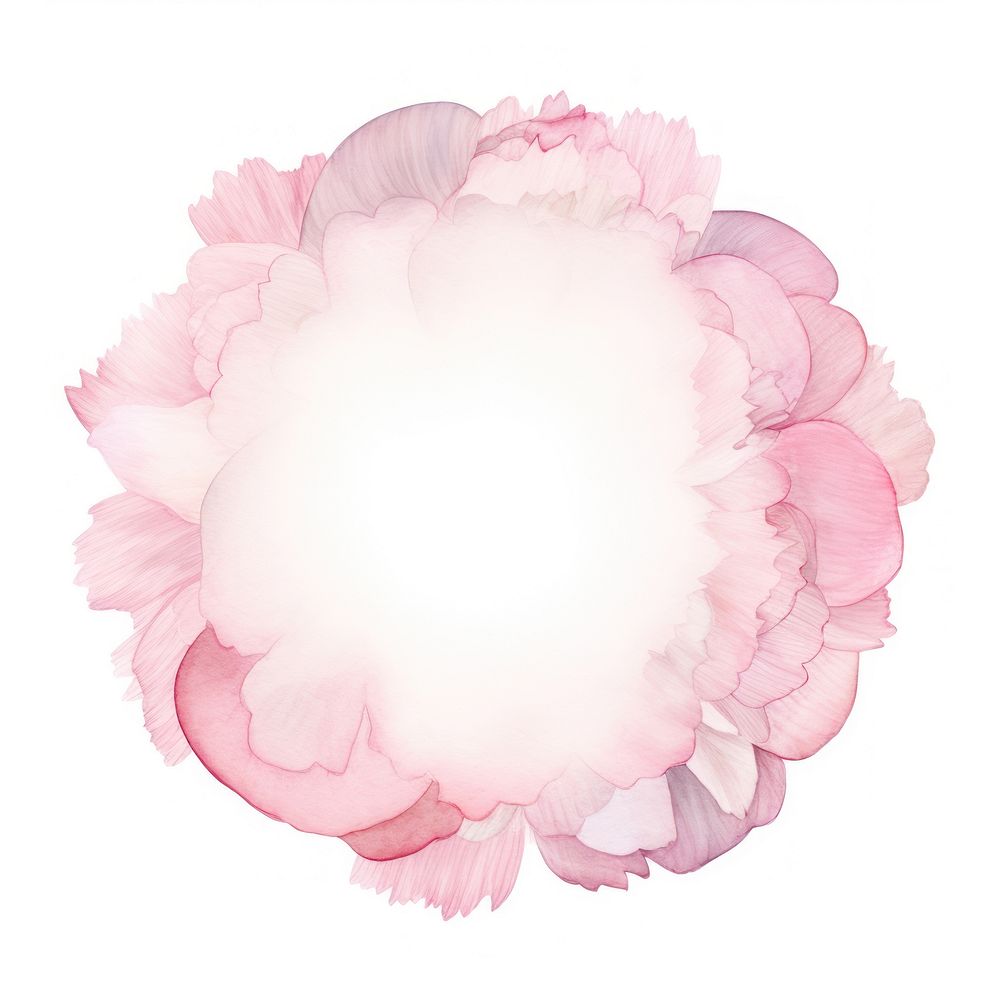 Peony petals cercle border flower white background microbiology.
