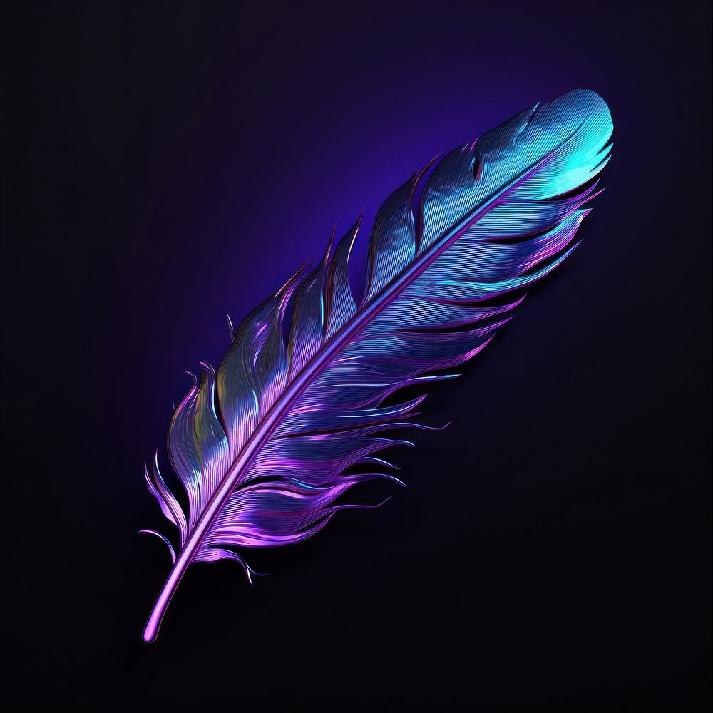 Feather feather purple light.