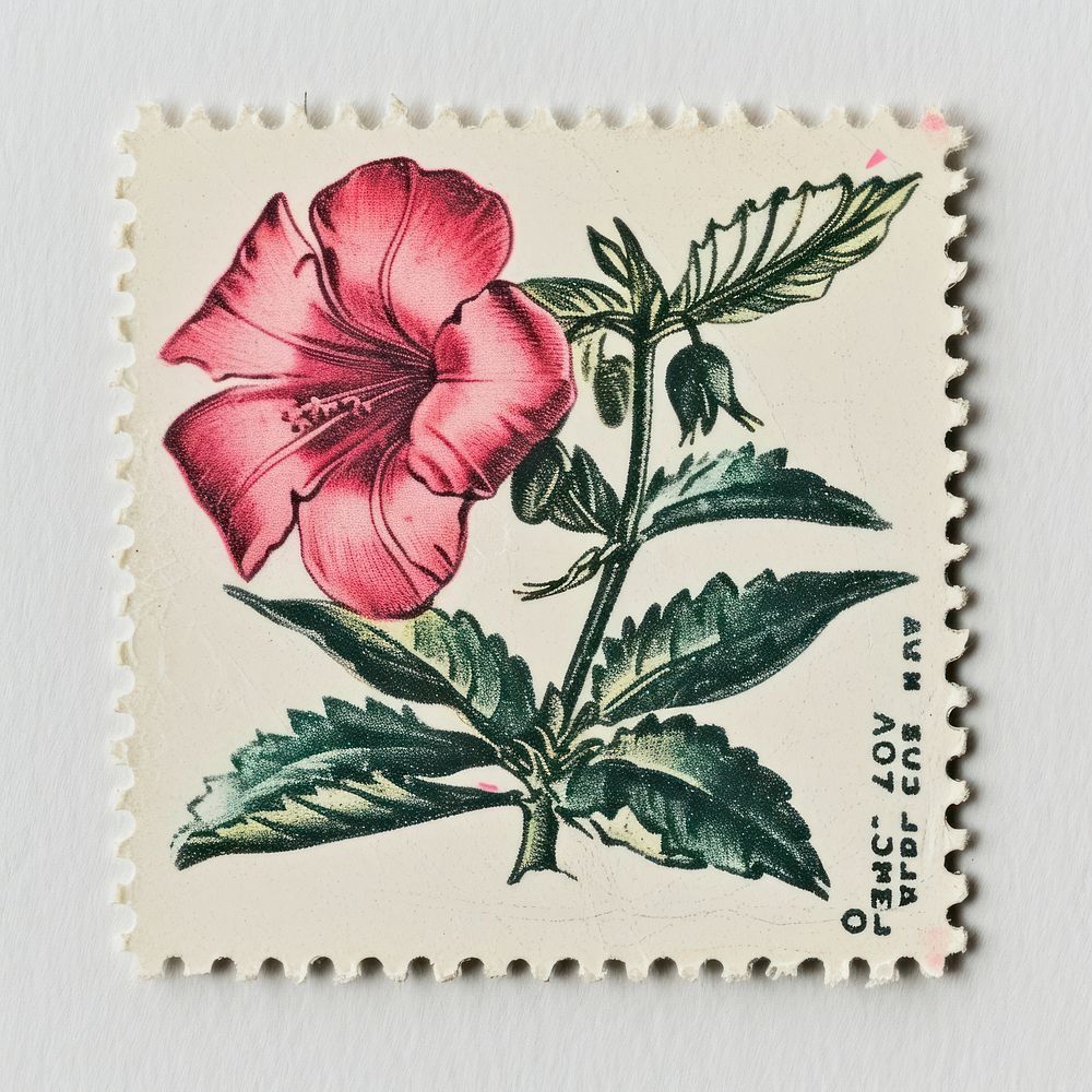 Risograph of flower plant postage stamp needlework.