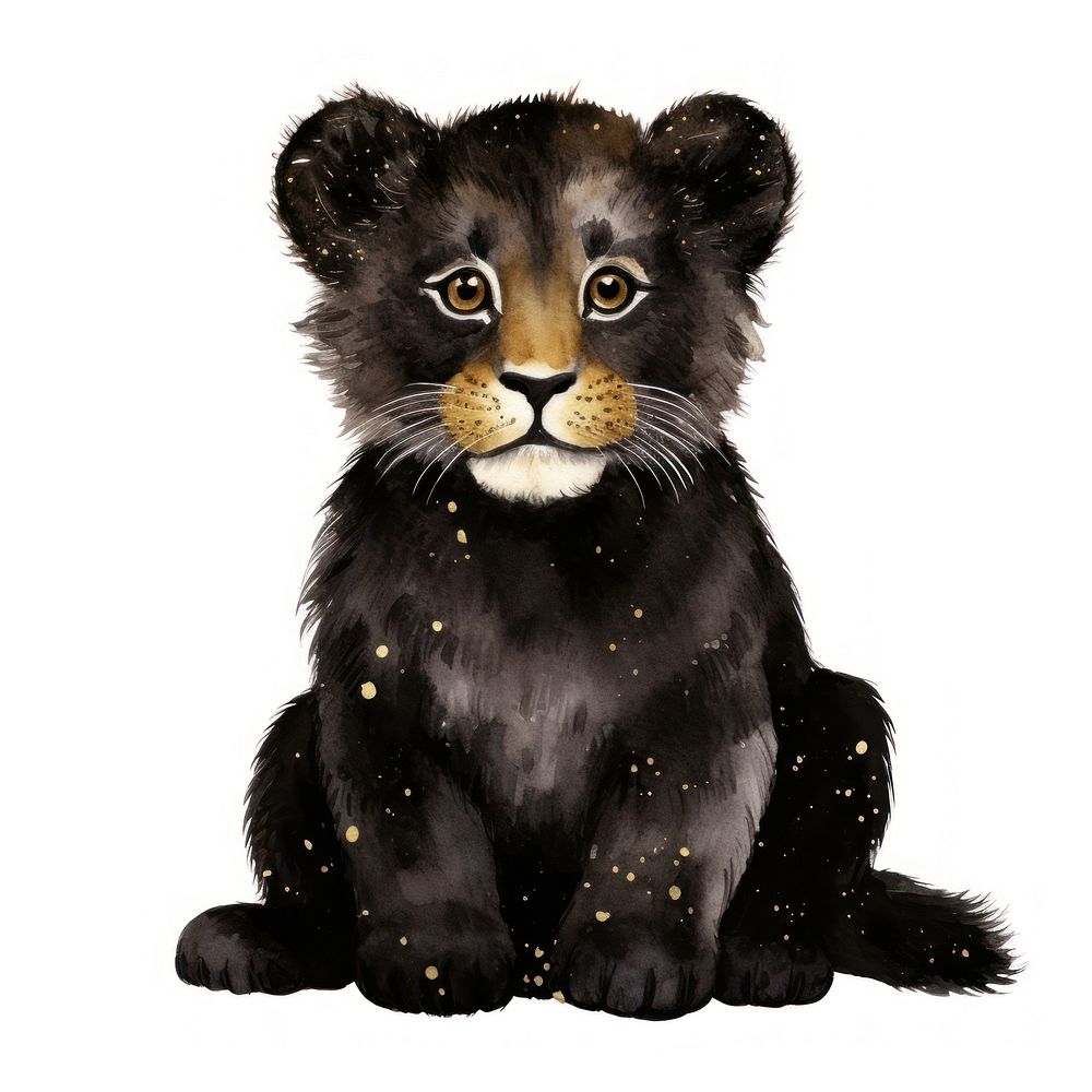 Black color cute lion wildlife mammal animal.