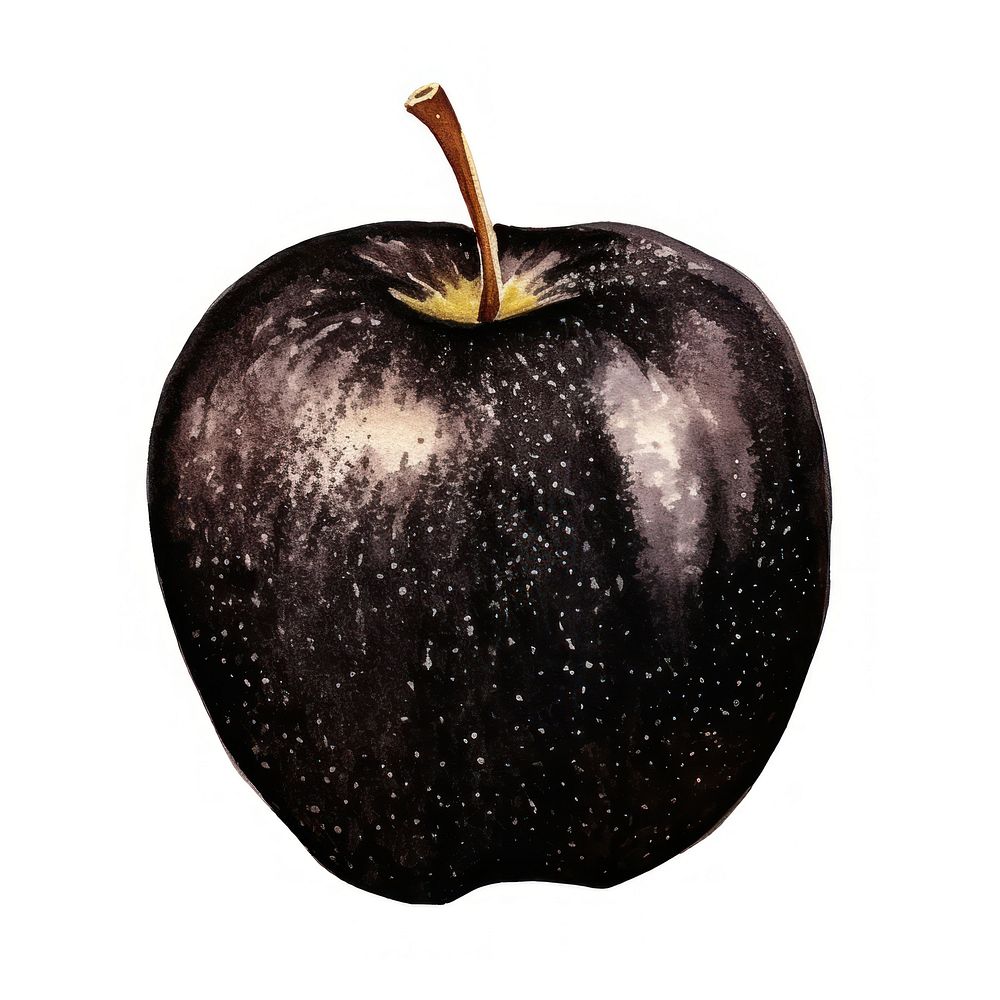 Black color apple fruit plant food.