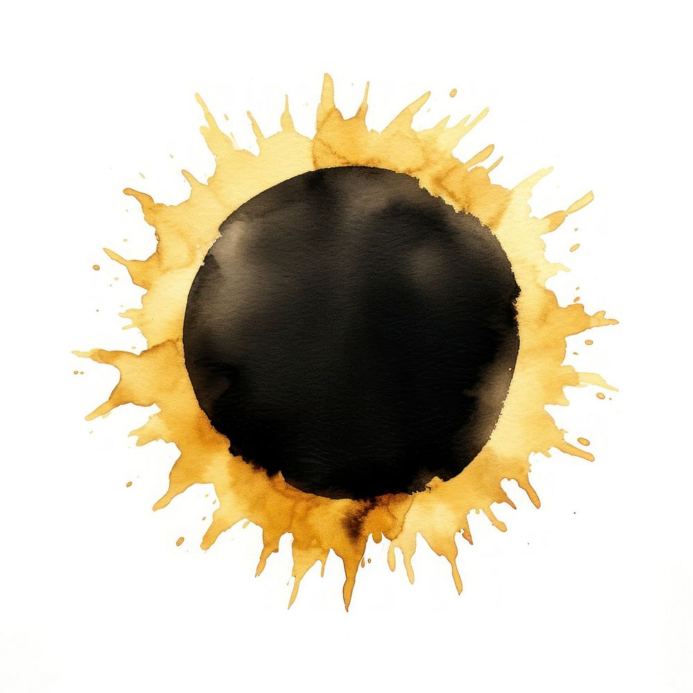 Black color sun white background accessories sunflower.