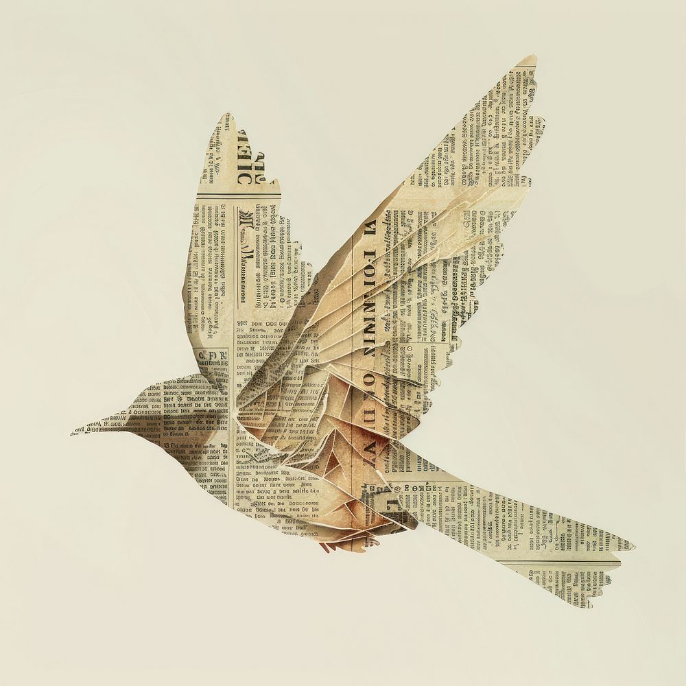 Ephemera paper bird flying art architecture creativity.