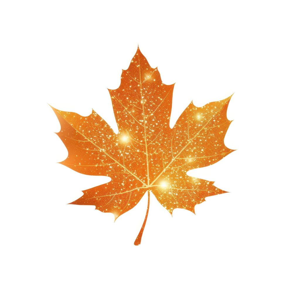 Orange maple leaf icon plant shape tree.