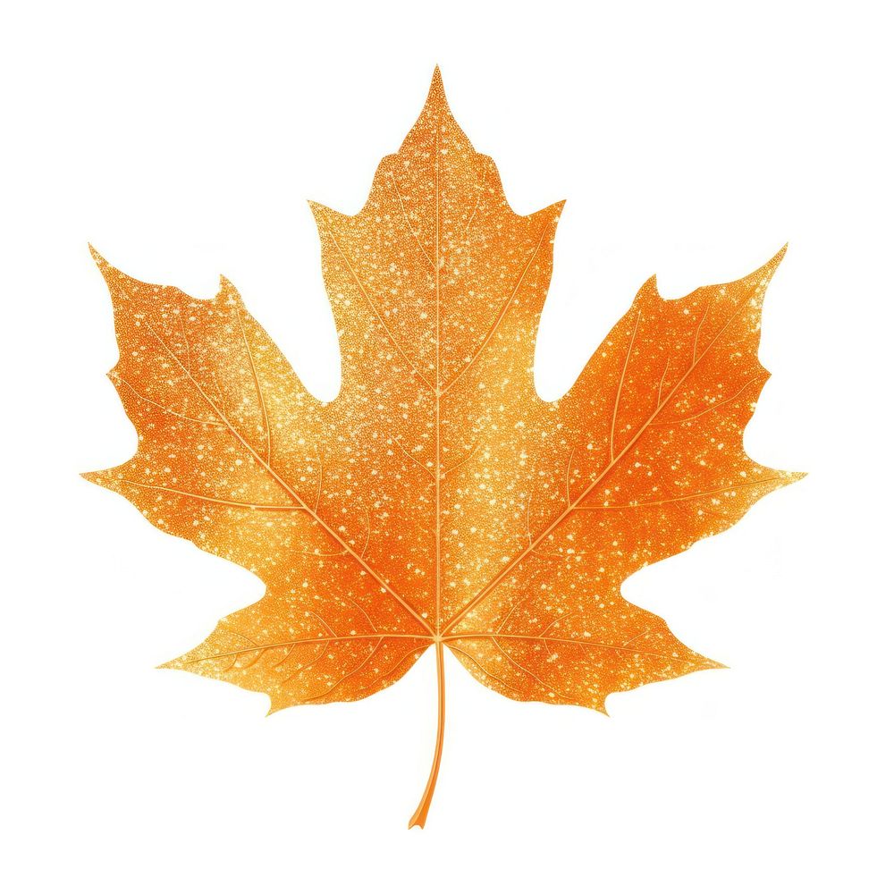 Orange maple leaf icon plant shape tree.