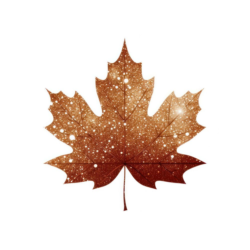 Brown maple leaf icon plant tree white background.