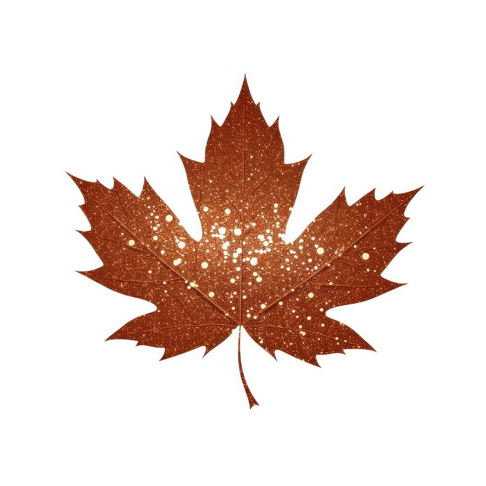 Brown maple leaf icon plant shape tree.