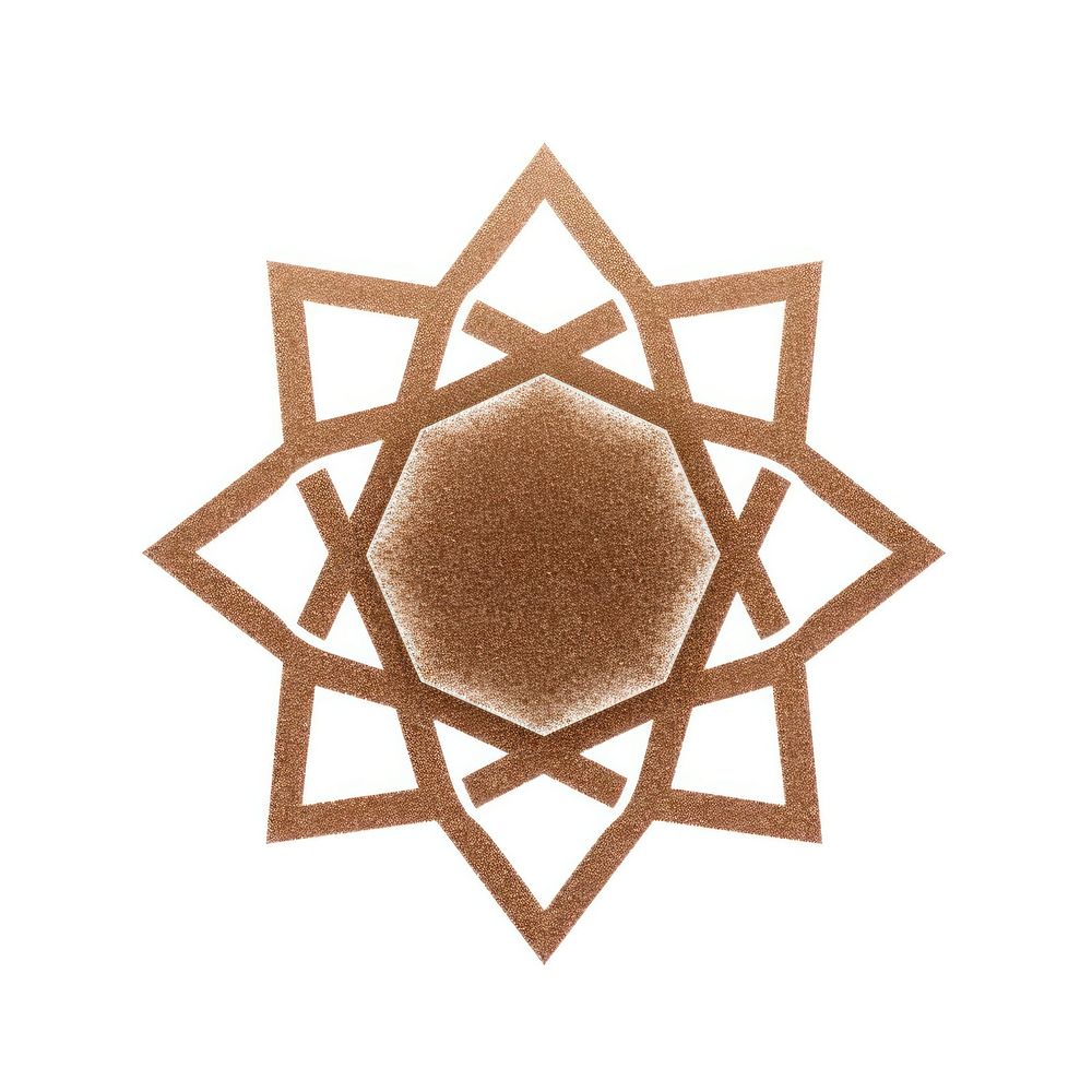 Brown hexagram icon shape white background echinoderm.
