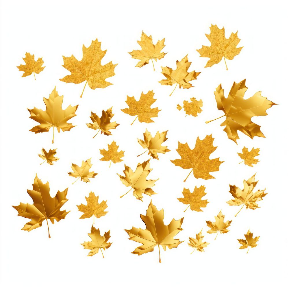 Gold group maple leaves icon backgrounds plant leaf.