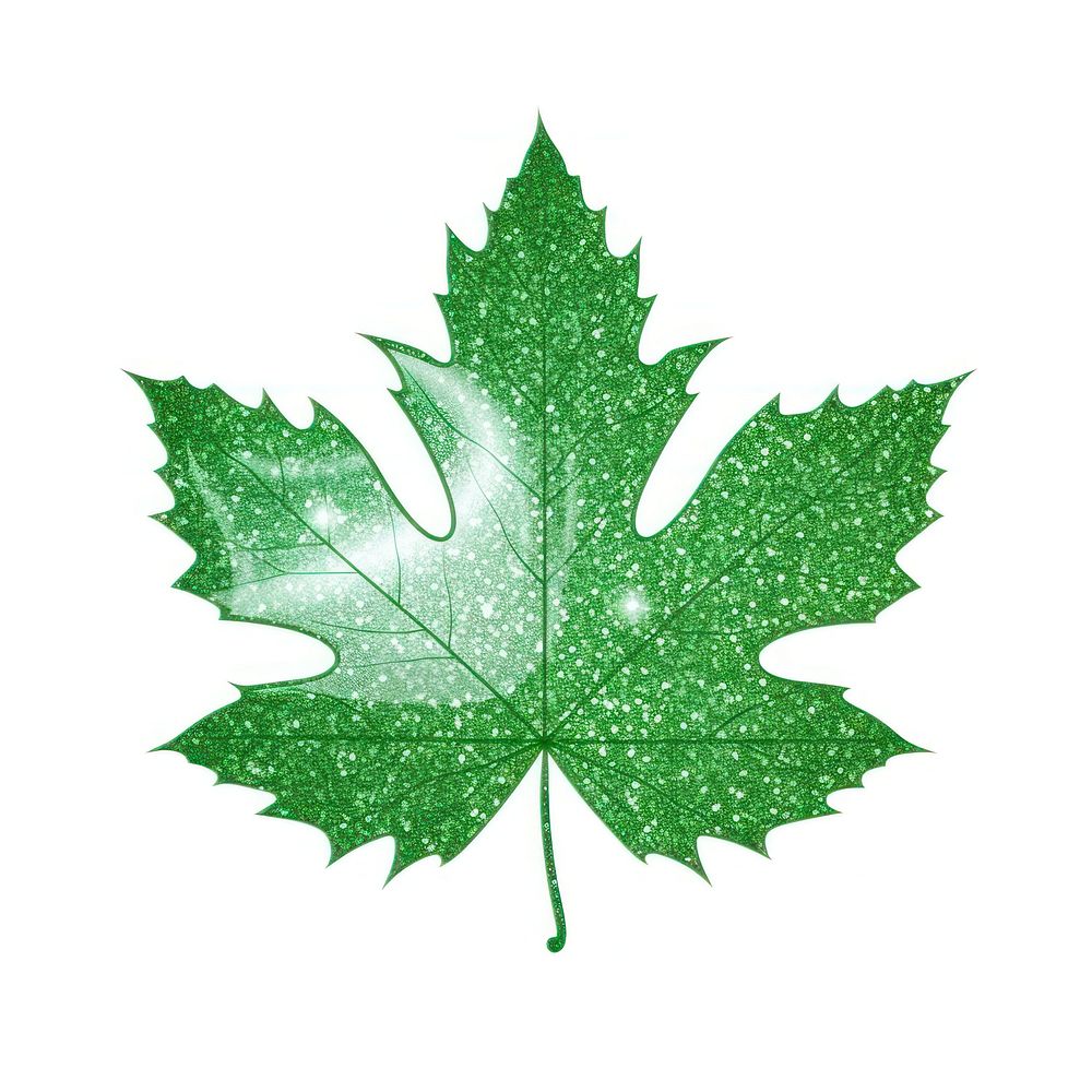 Green maple leaf icon plant shape tree.