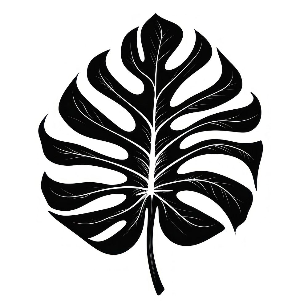 A black monstera leaf old school hand poke tattoo style plant line logo.