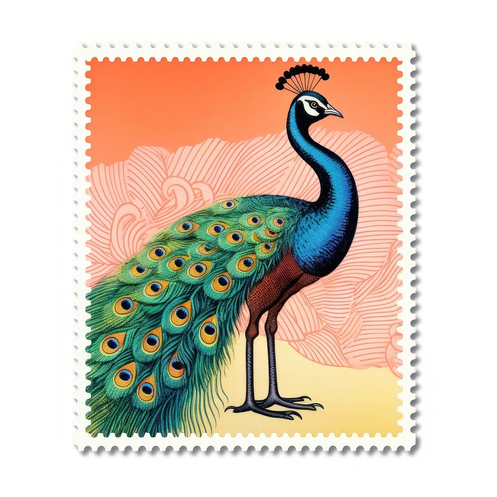 Peacock Risograph style animal bird postage stamp.