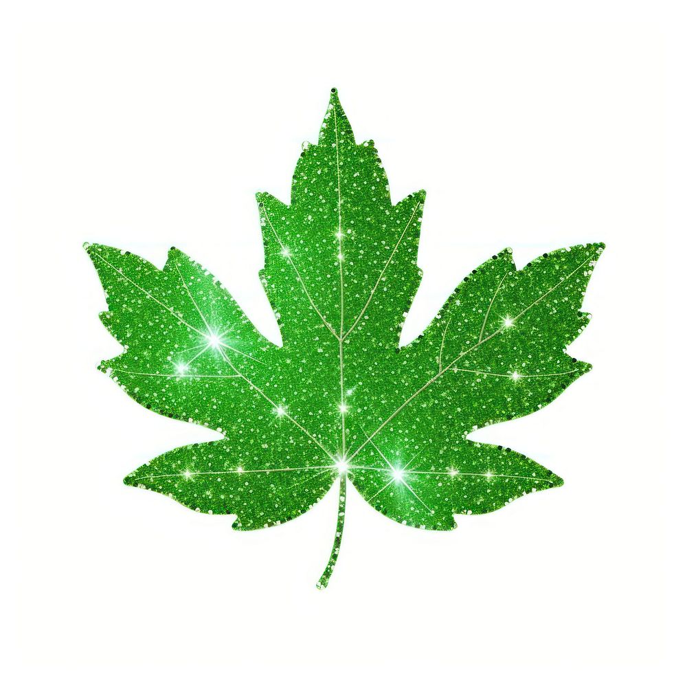 Green maple leaf icon plant shape tree.