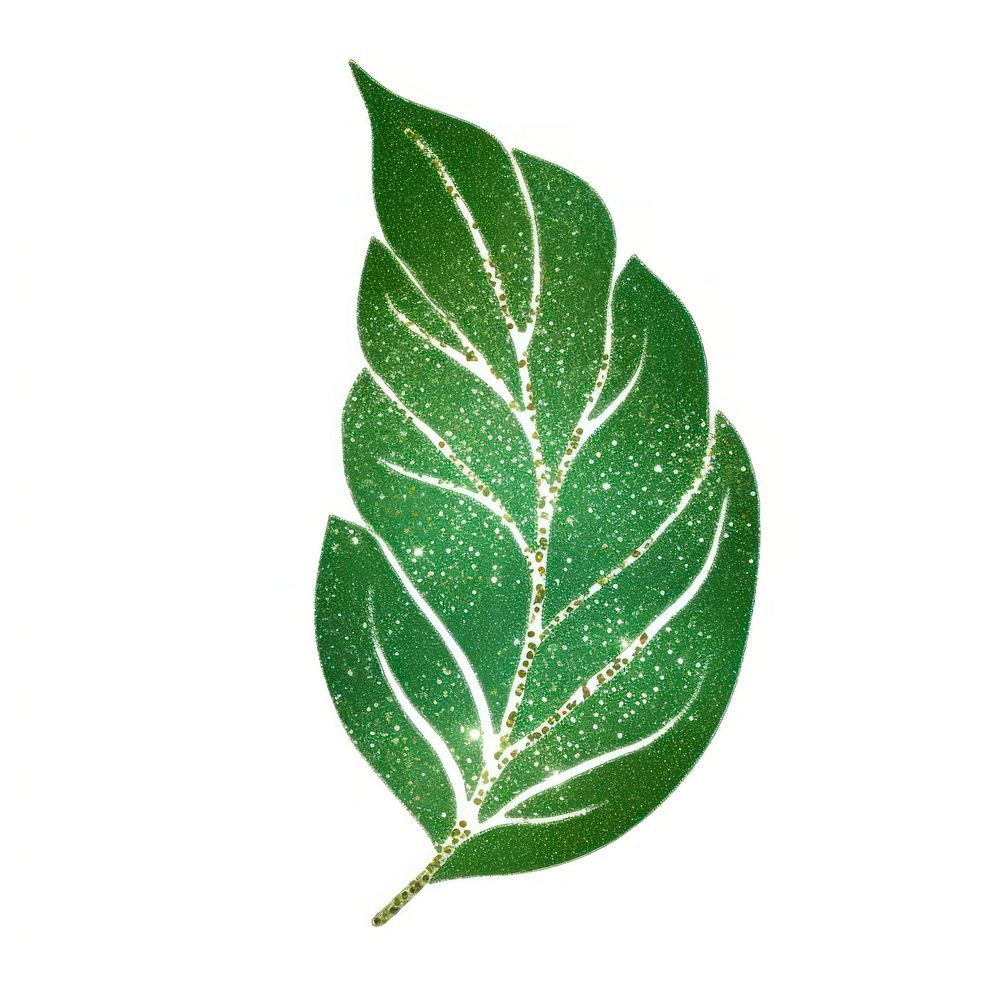 Green leaf plant art white background.
