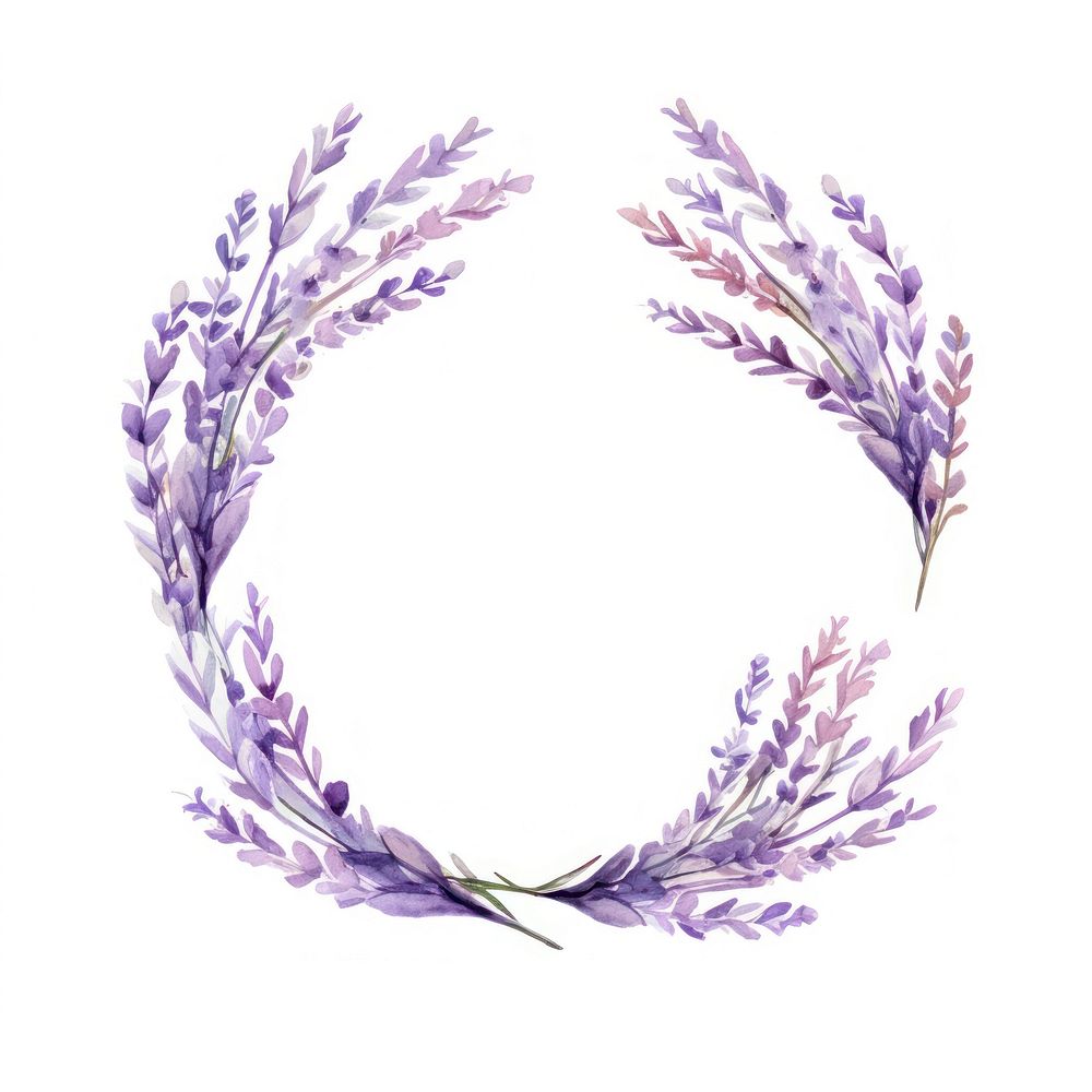 Lavender flower wreath plant.