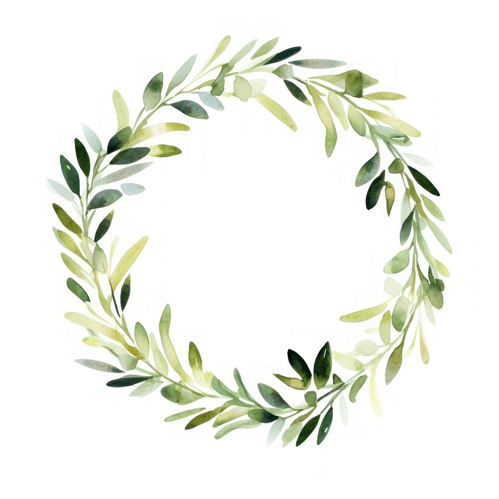 Olive wreath border plant leaf white background.