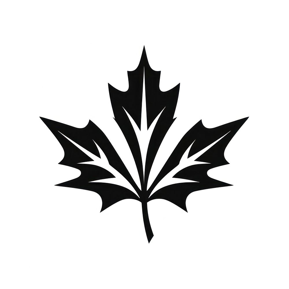 Maple leaf logo symbol maple.