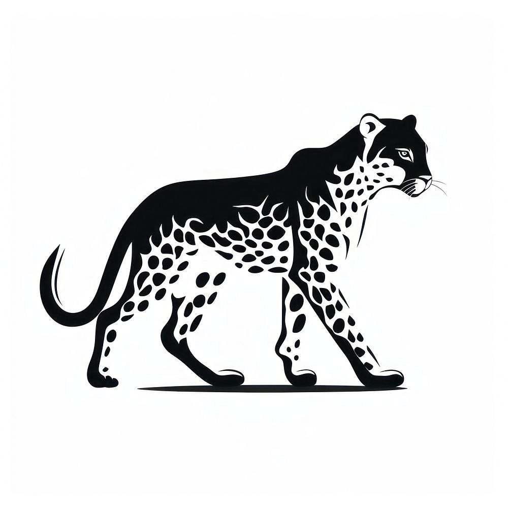 Cheetah leopard animal mammal.