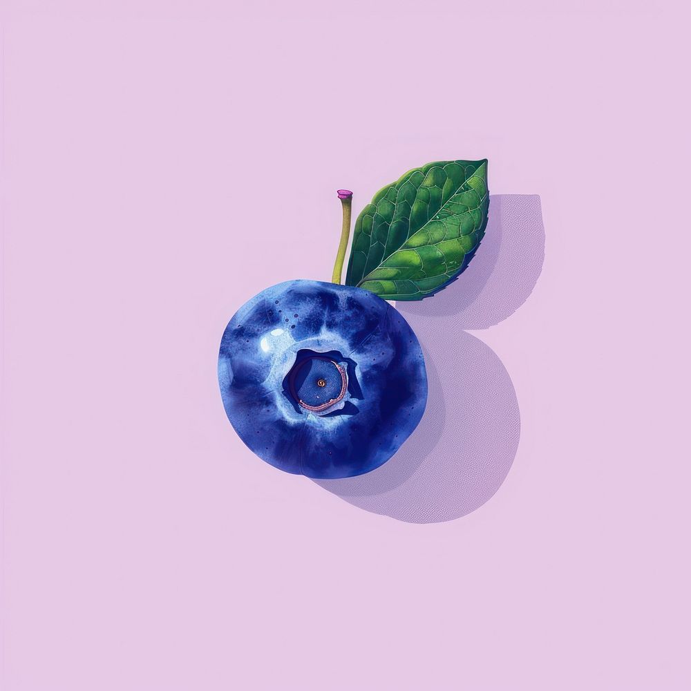 Y2k illustration of blueberry fruit plant food.