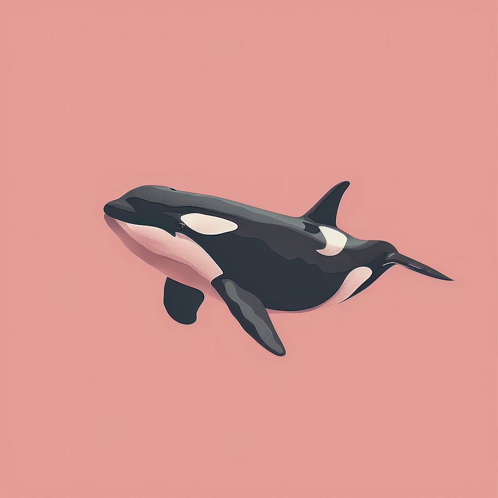 Y2k illustration of orca animal whale fish.