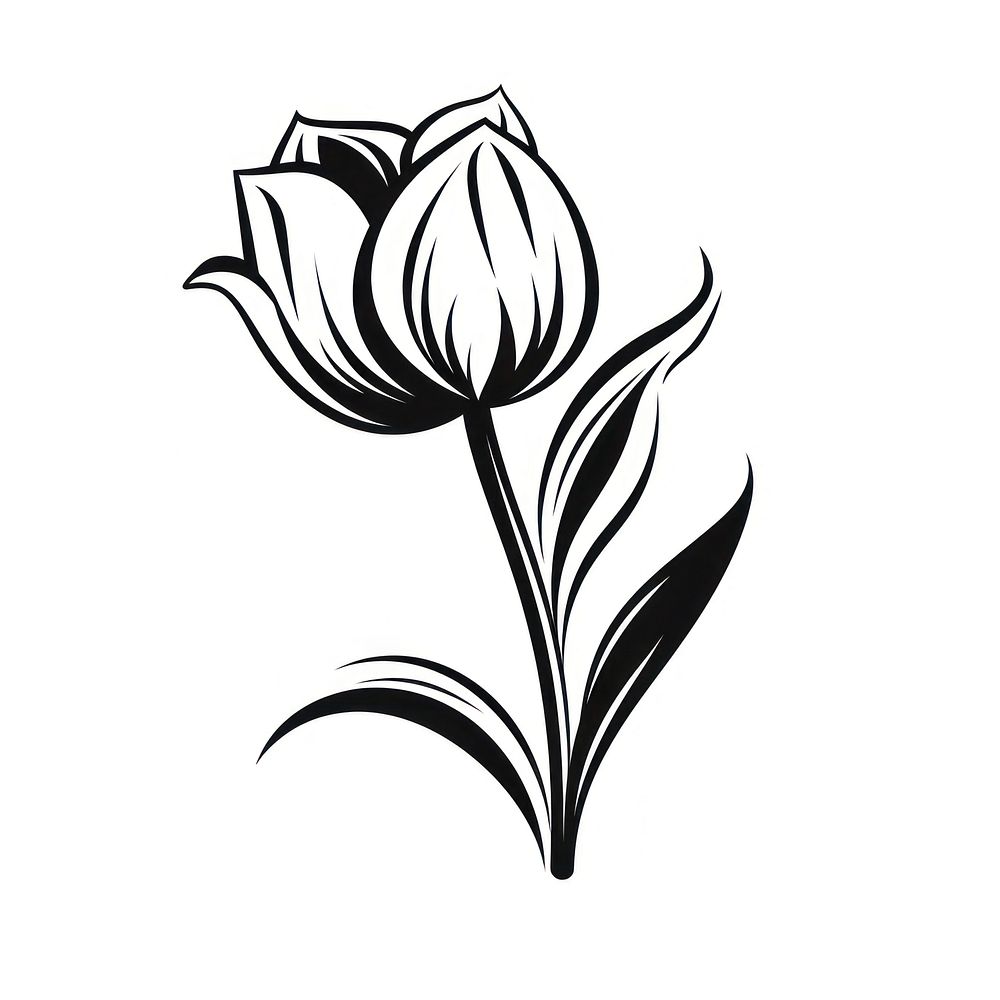 Cute tulip flower pattern drawing sketch.