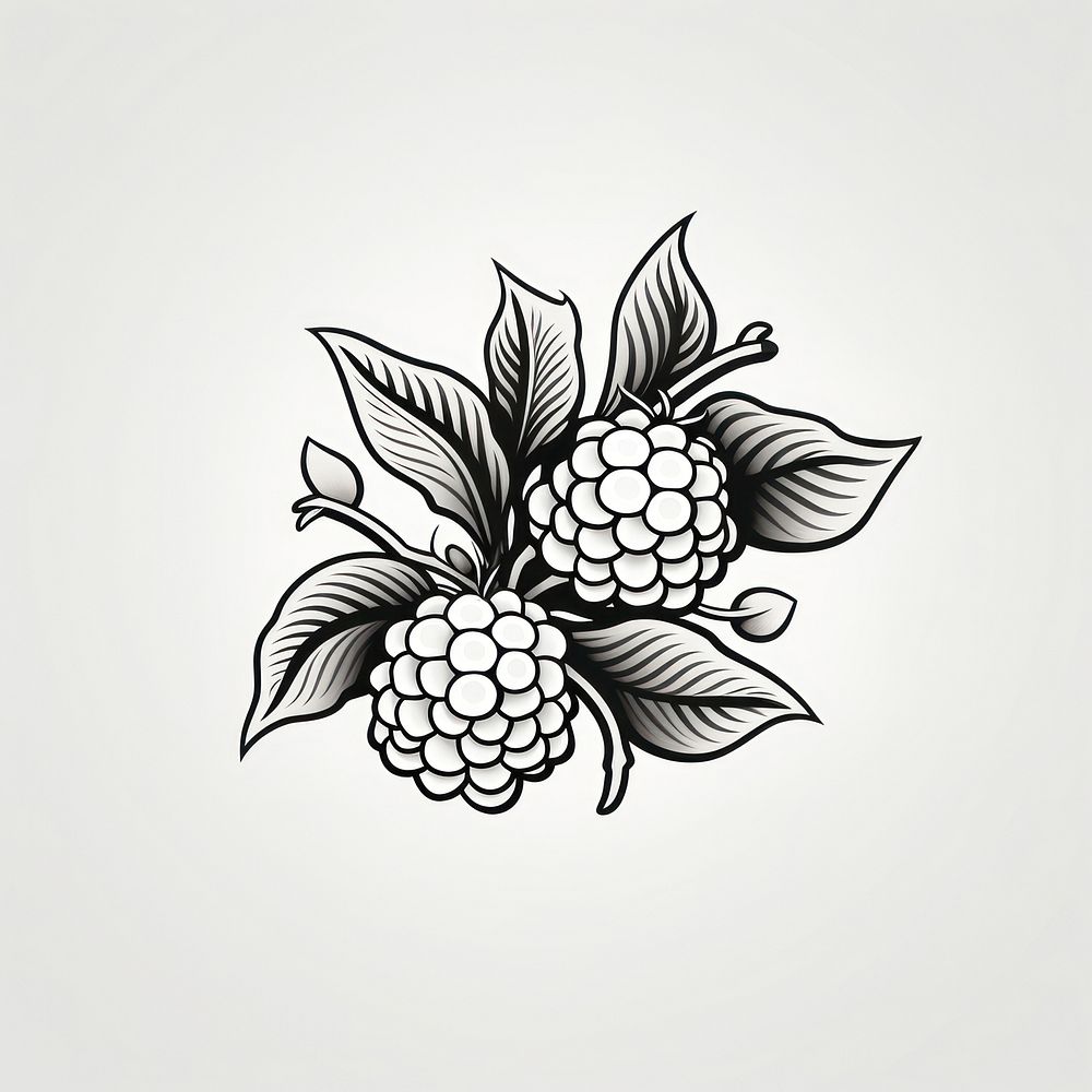 Blackberry pattern drawing sketch.