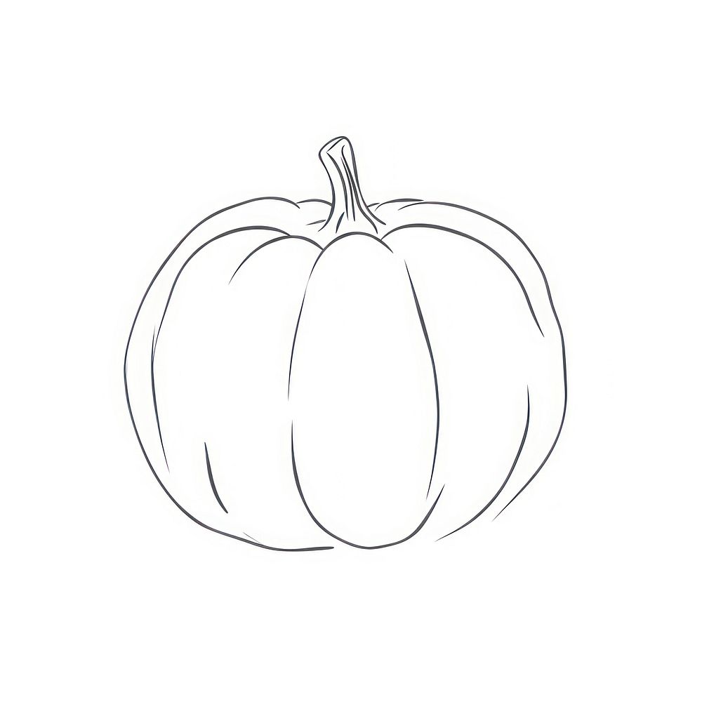 Pumpkin drawing vegetable sketch.
