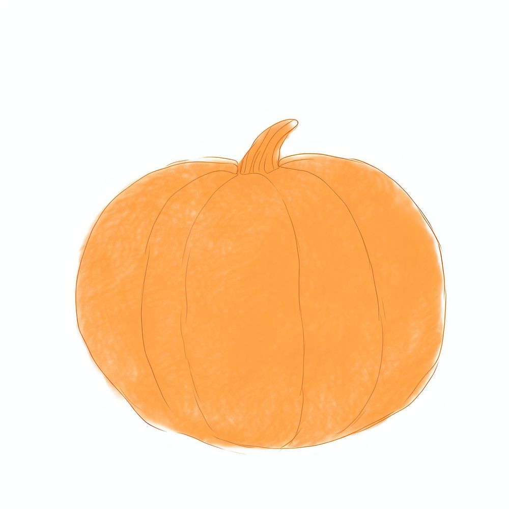 Pumpkin vegetable drawing squash.