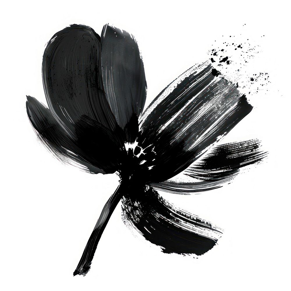 Paint flower shape brush stroke petal black white.