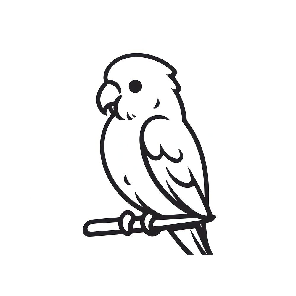 Parrot drawing animal sketch.