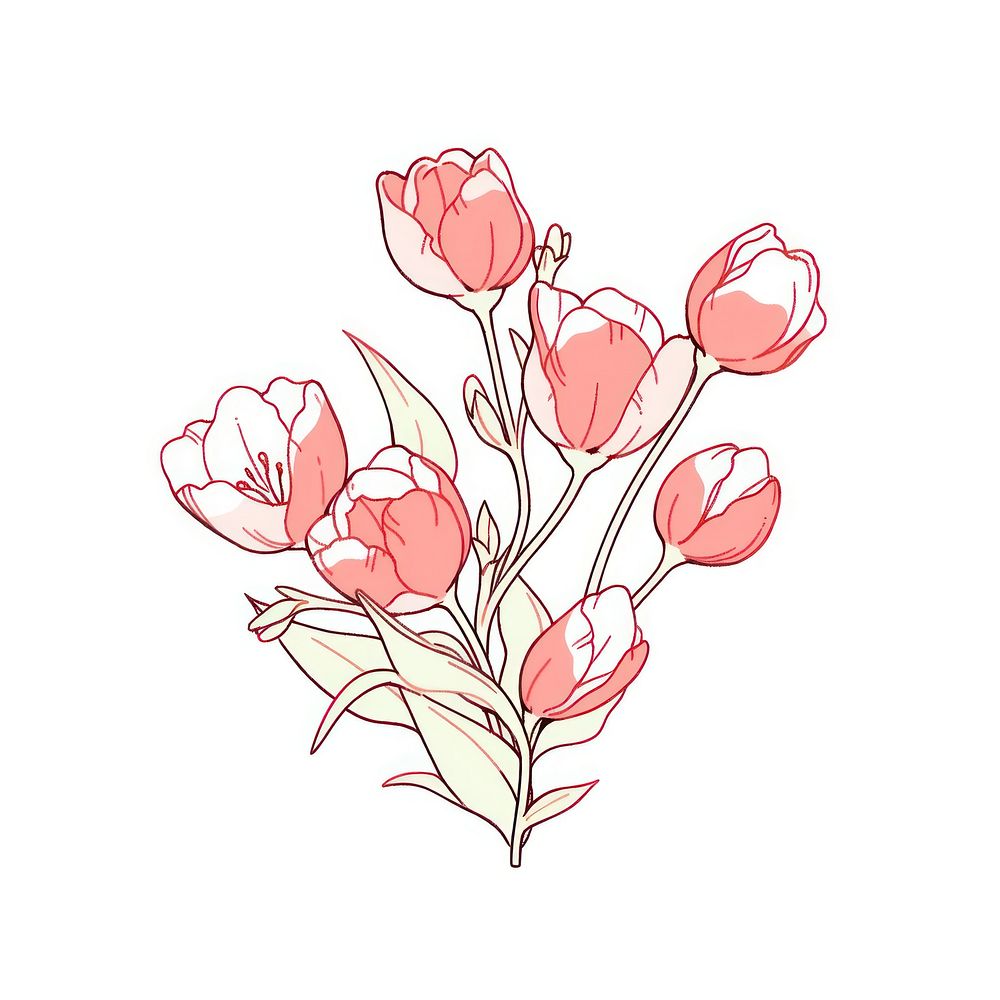 Pink Tulips flower drawing sketch plant.
