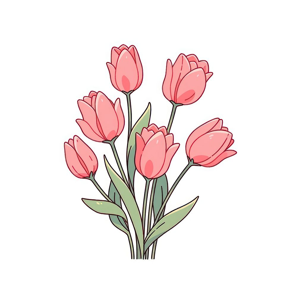 Pink Tulips flower tulip drawing sketch.