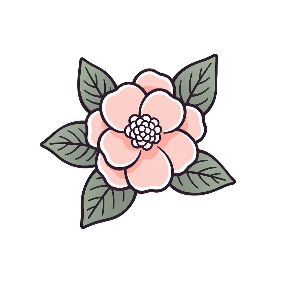 Pink Camellia flower pattern drawing sketch.