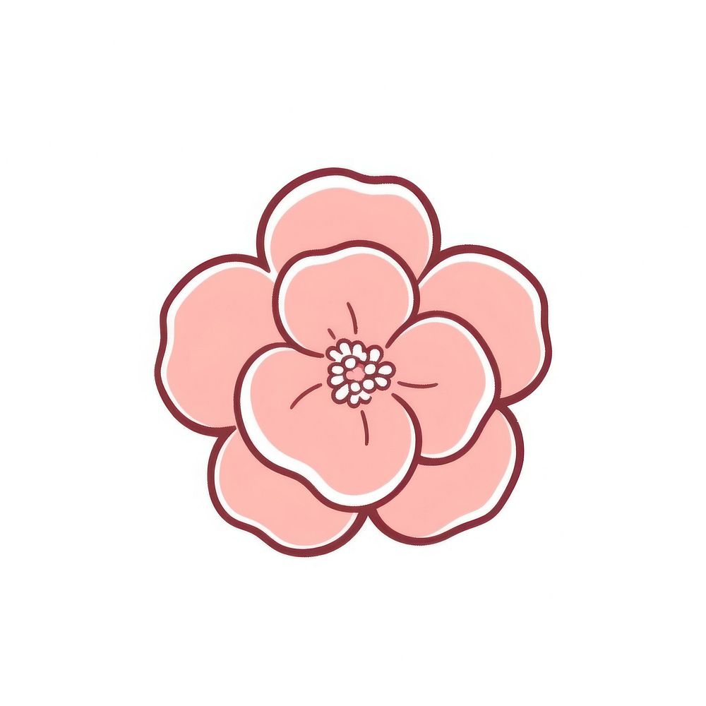 Pink Camellia flower blossom petal plant.
