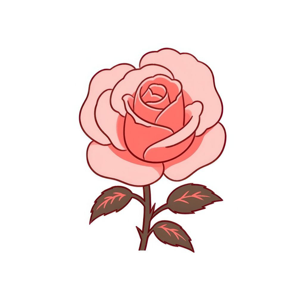 Pink rose flower plant inflorescence creativity.