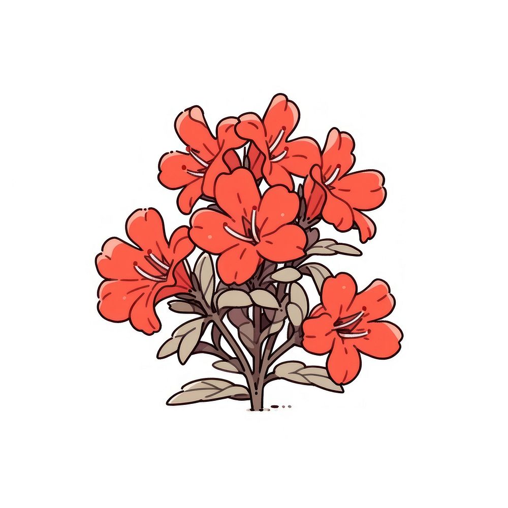Red azalea flower plant freshness fragility.