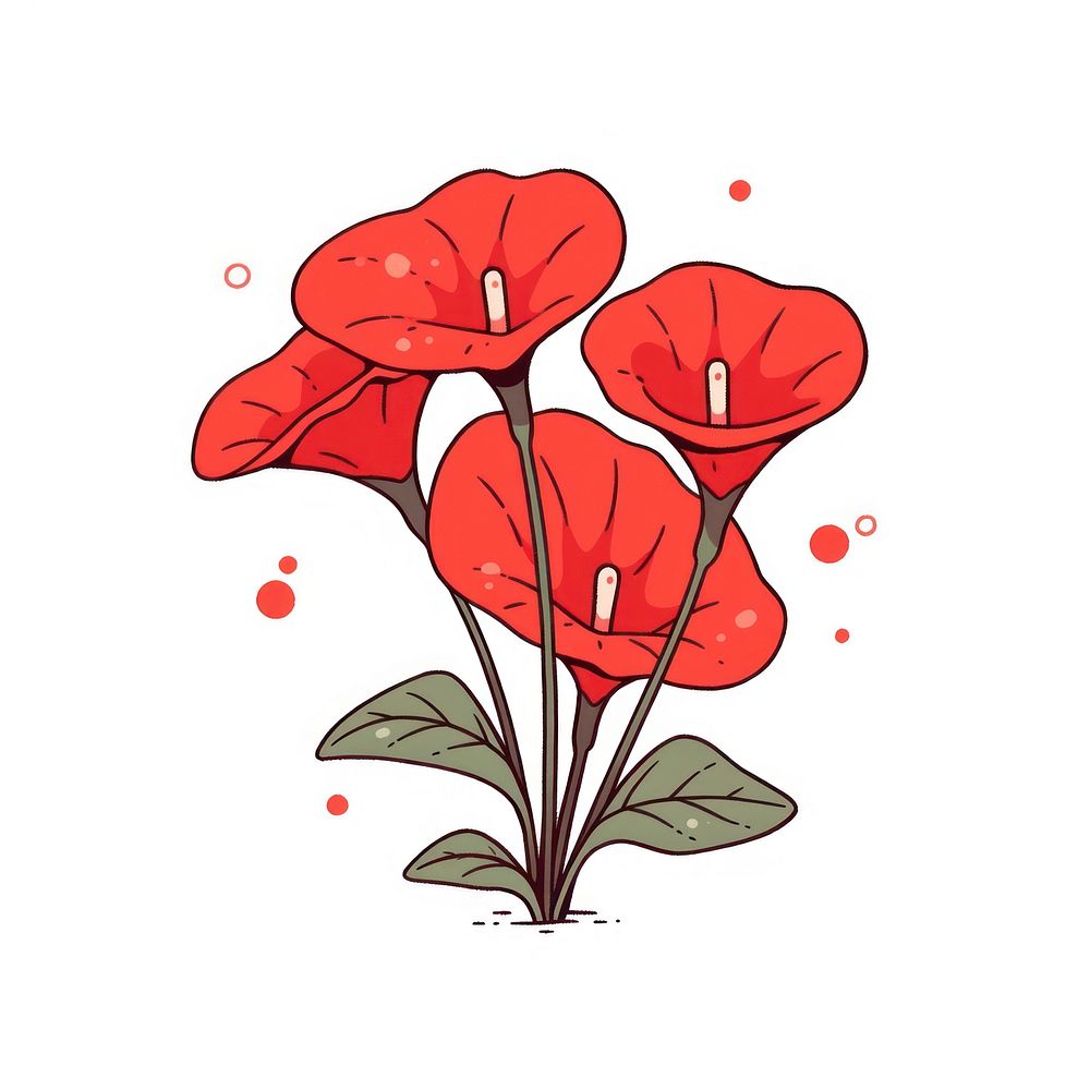 Red anthurium flower drawing nature sketch.