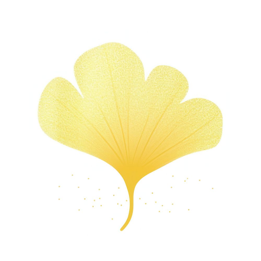 Yellow ginkgo icon petal plant leaf.