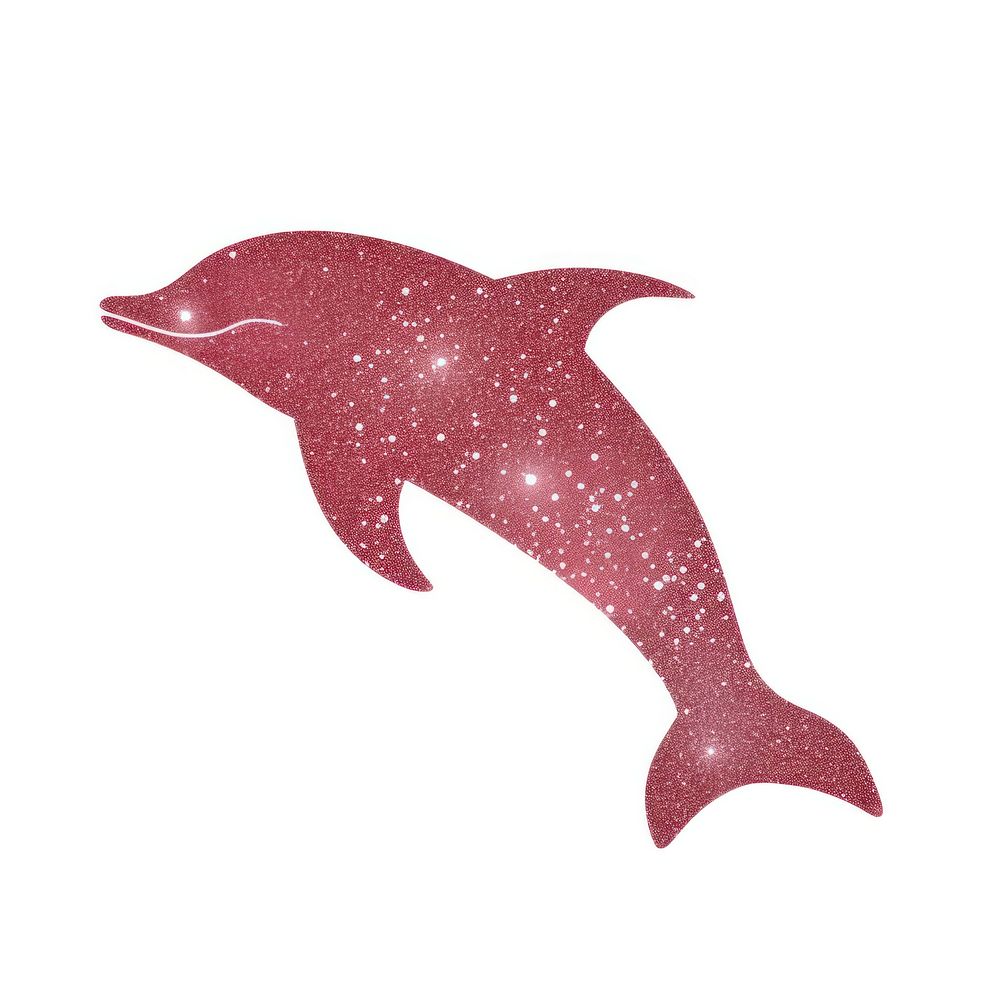 Dolphin icon dolphin animal mammal.