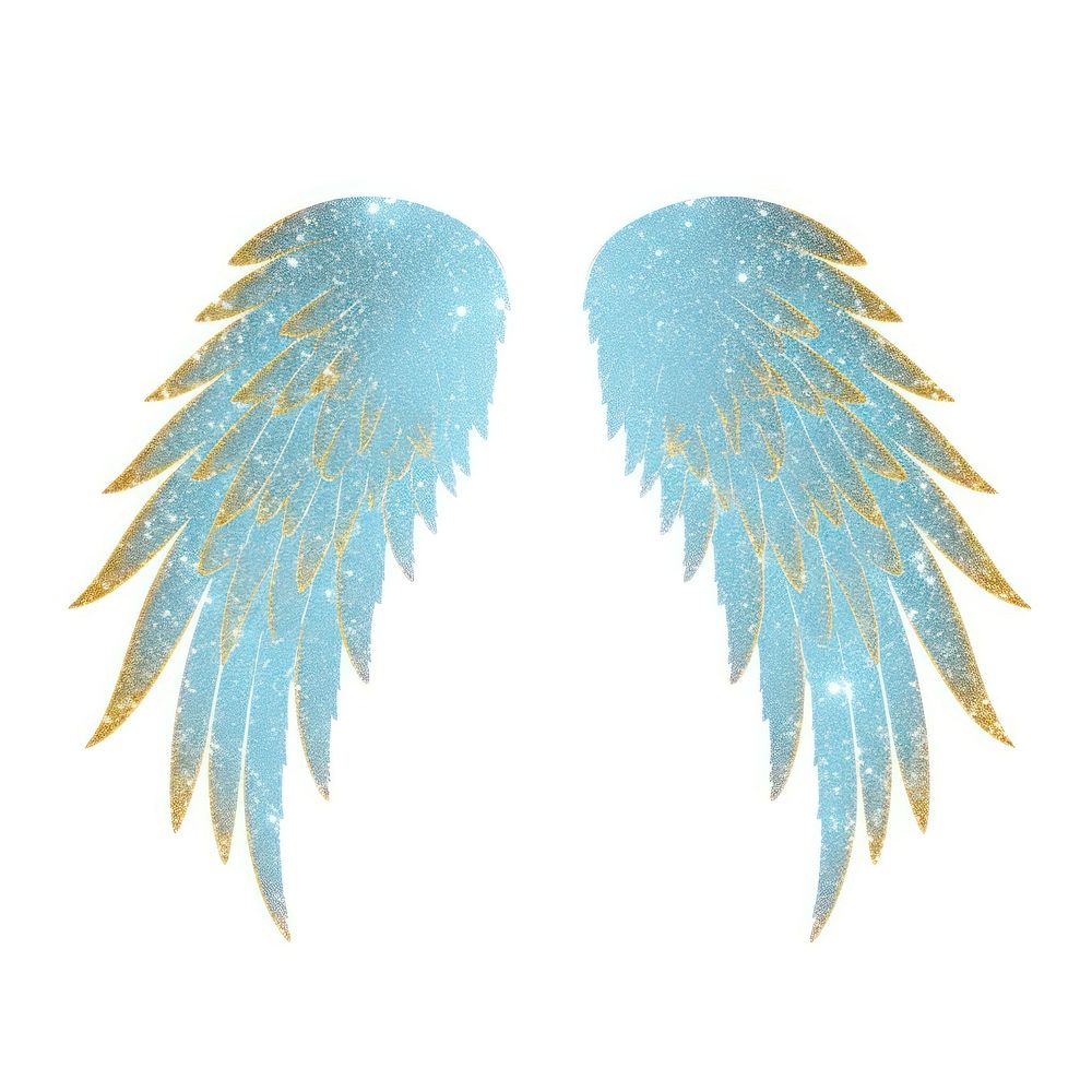 Angel wing blue white background.