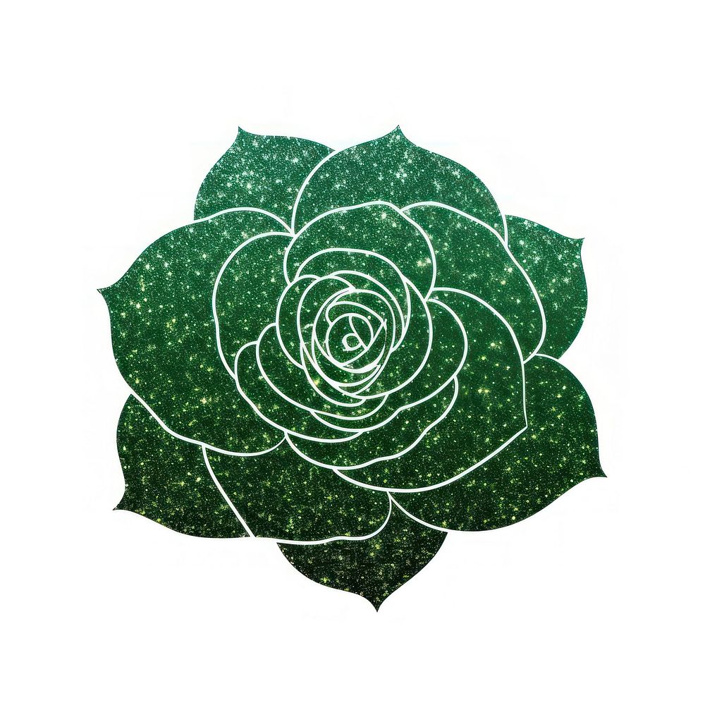 Green rose icon flower plant leaf.