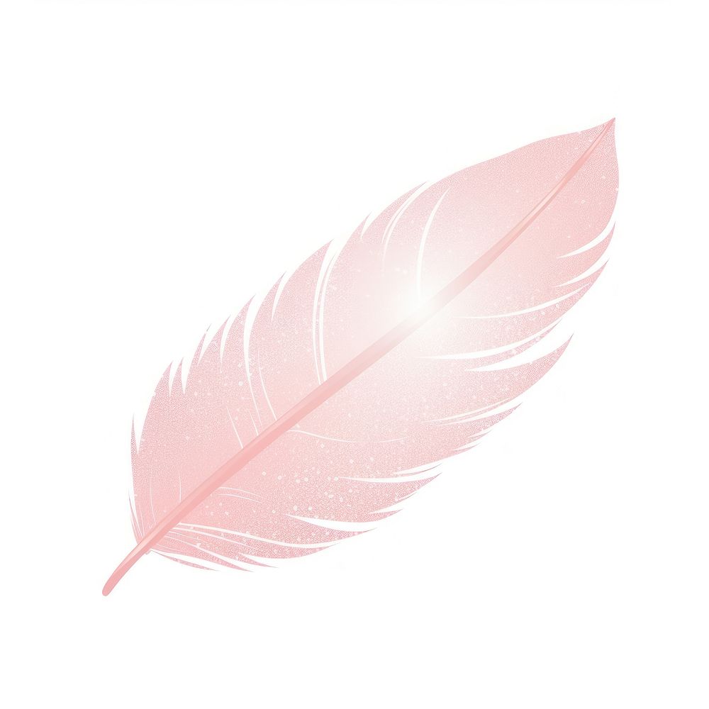 Feather leaf pink art.