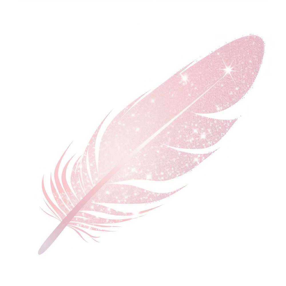 Feather pink white background lightweight.