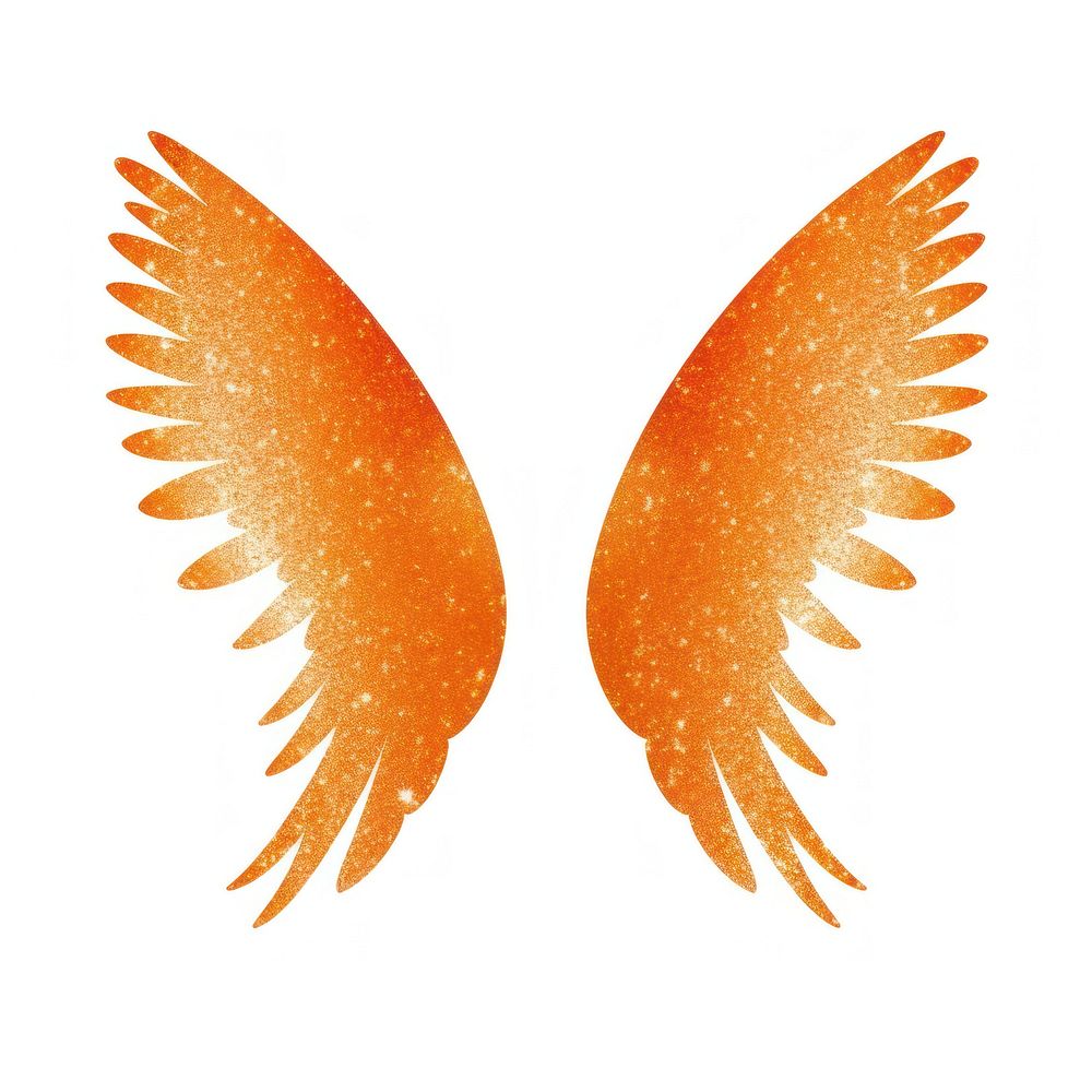 Orange color Angel wings icon angel white background creativity.