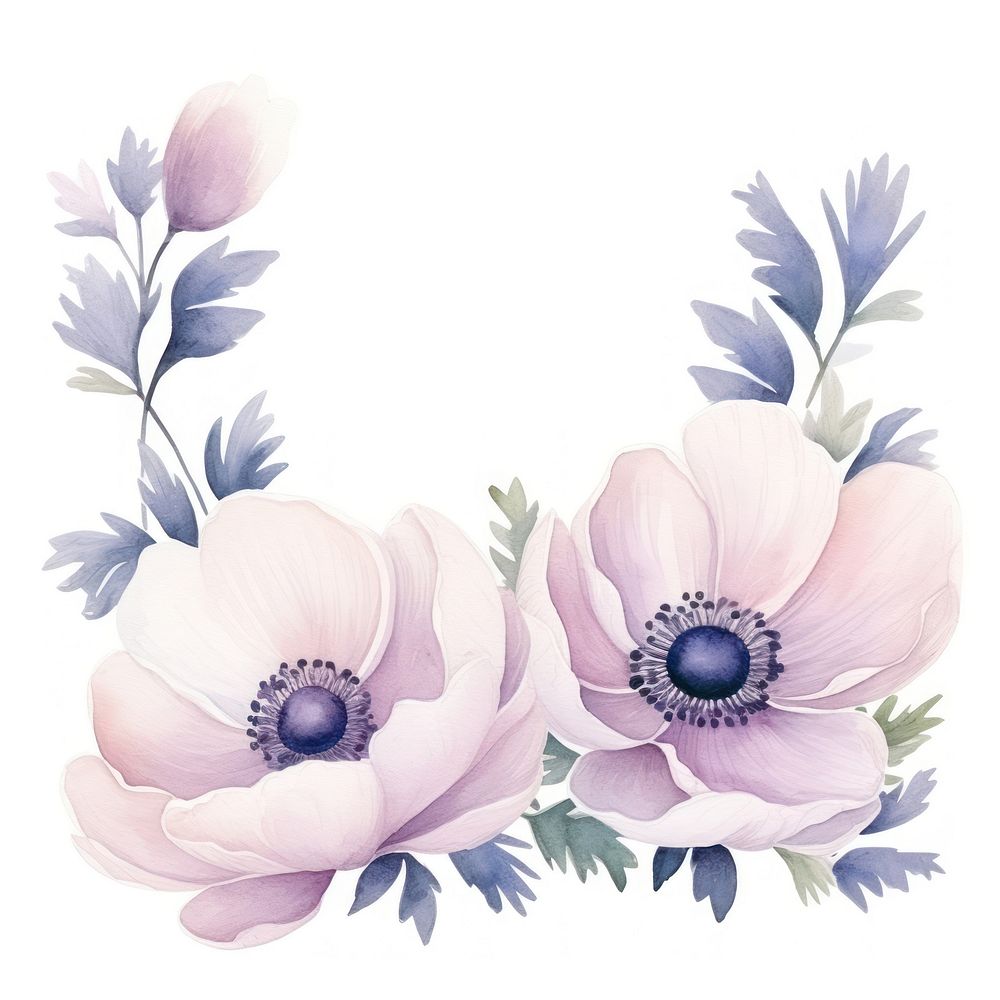 Anemone frame watercolor pattern flower plant.