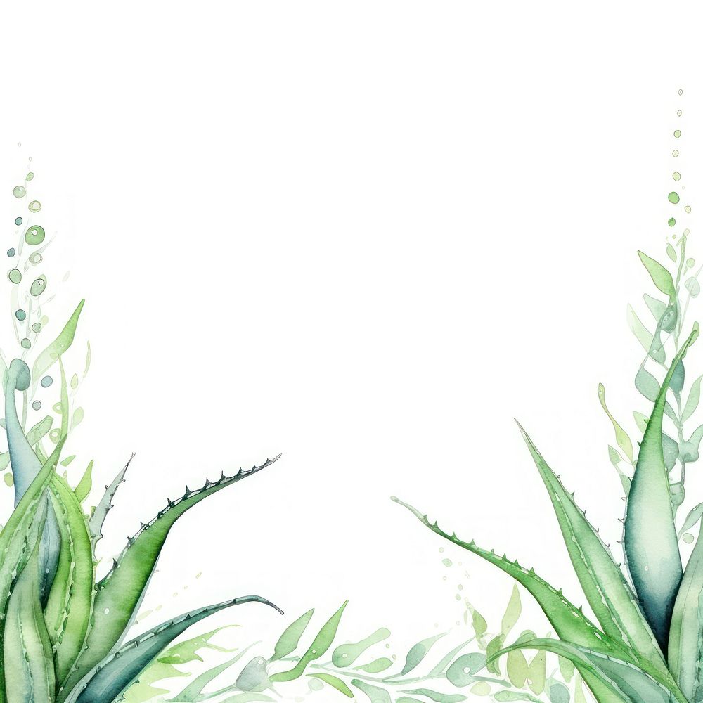 Aloe vera border watercolor backgrounds plant white background.