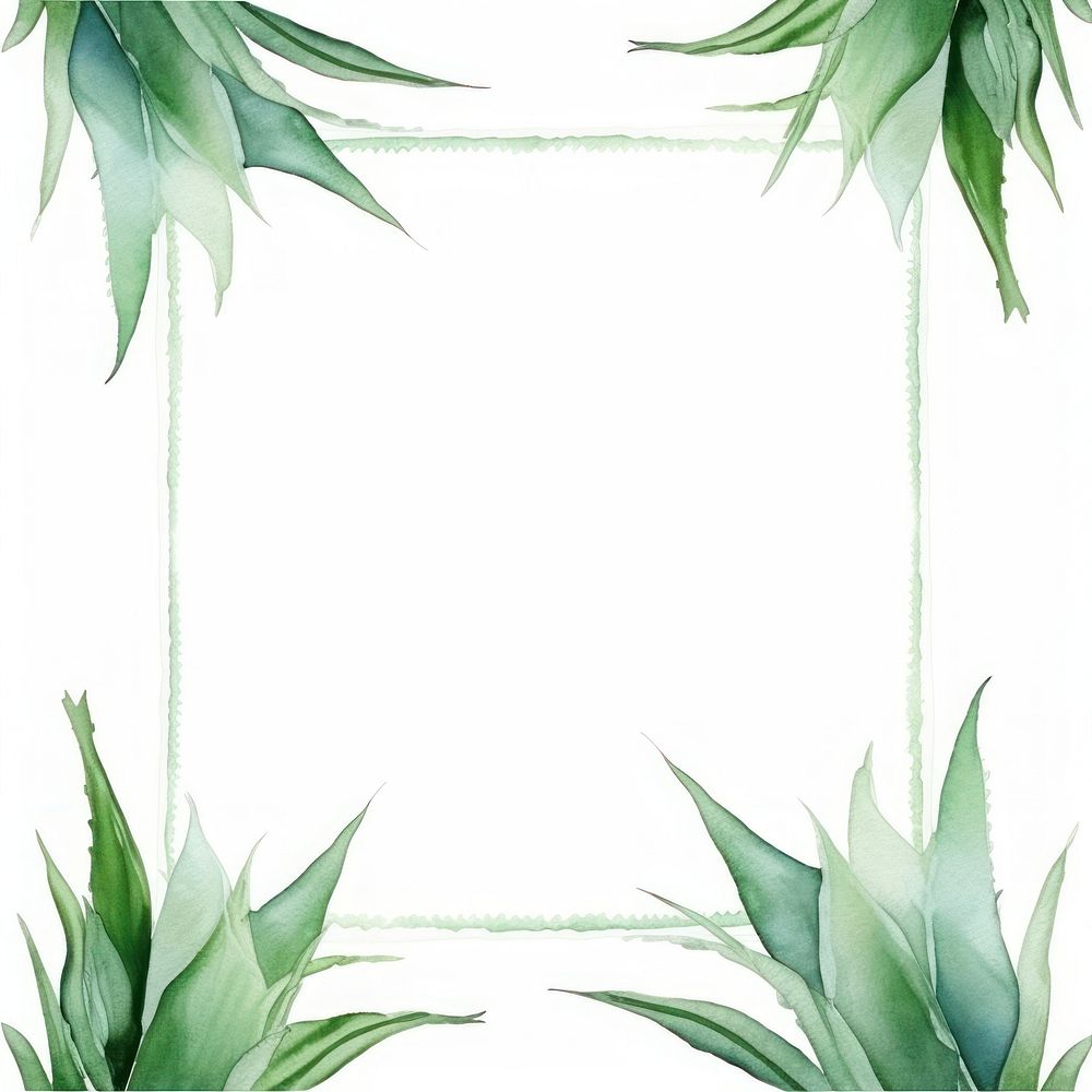 Aloe vera frame watercolor backgrounds plant green.